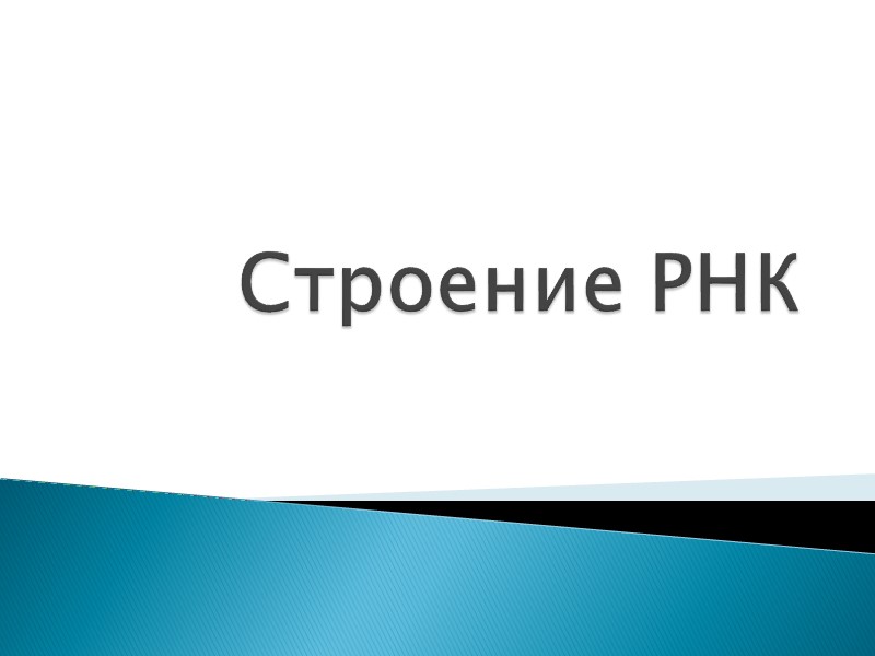 Строение РНК